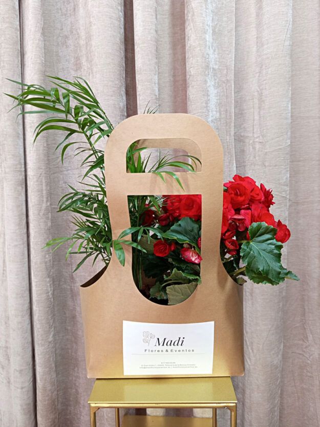Cesta Kraft con planta